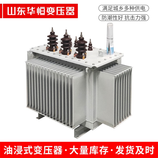 S13-10000/35汉源汉源汉源油浸式变压器厂家