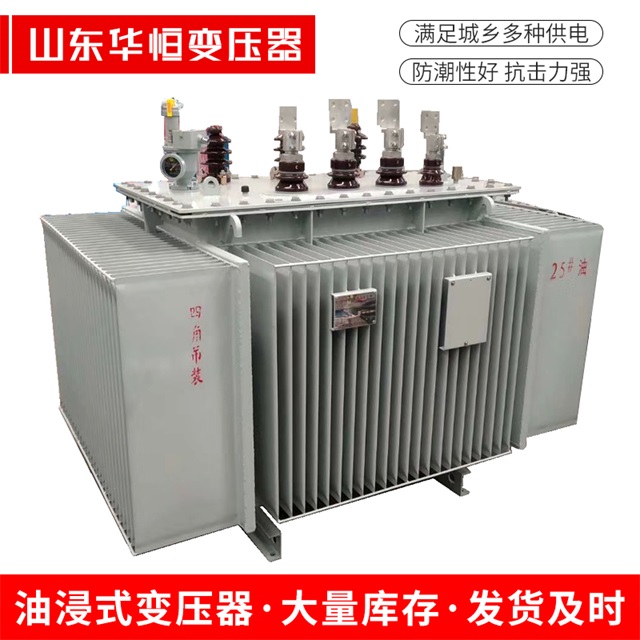 S13-10000/35汉源汉源汉源电力变压器厂家